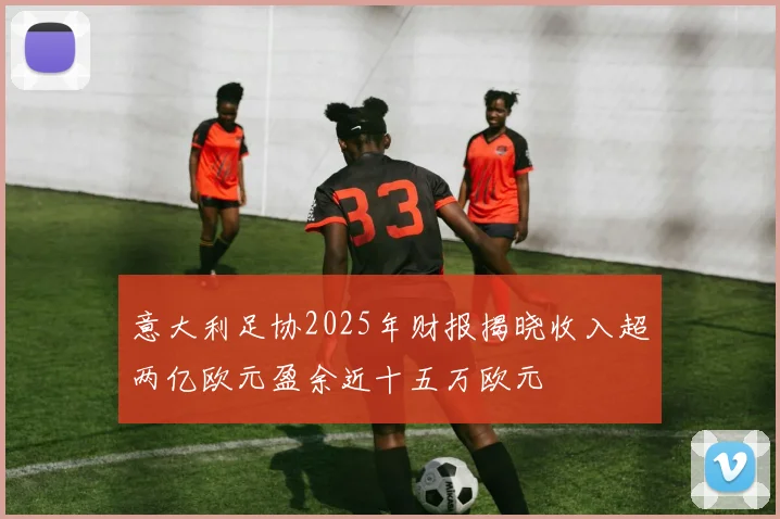 意大利足协2025年财报揭晓收入超两亿欧元盈余近十五万欧元